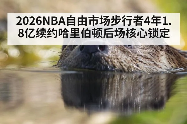 2026NBA自由市场步行者4年1.8亿续约哈里伯顿后场核心锁定