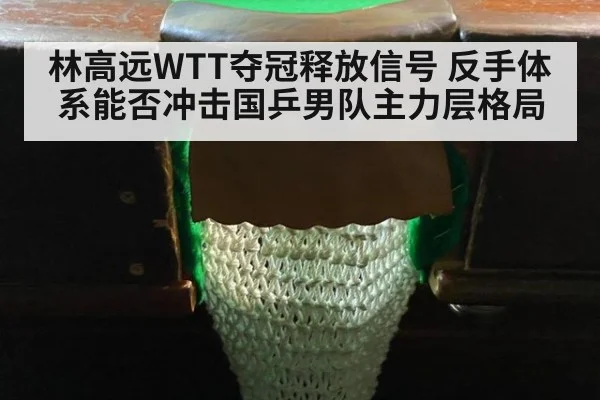 林高远WTT夺冠释放信号 反手体系能否冲击国乒男队主力层格局